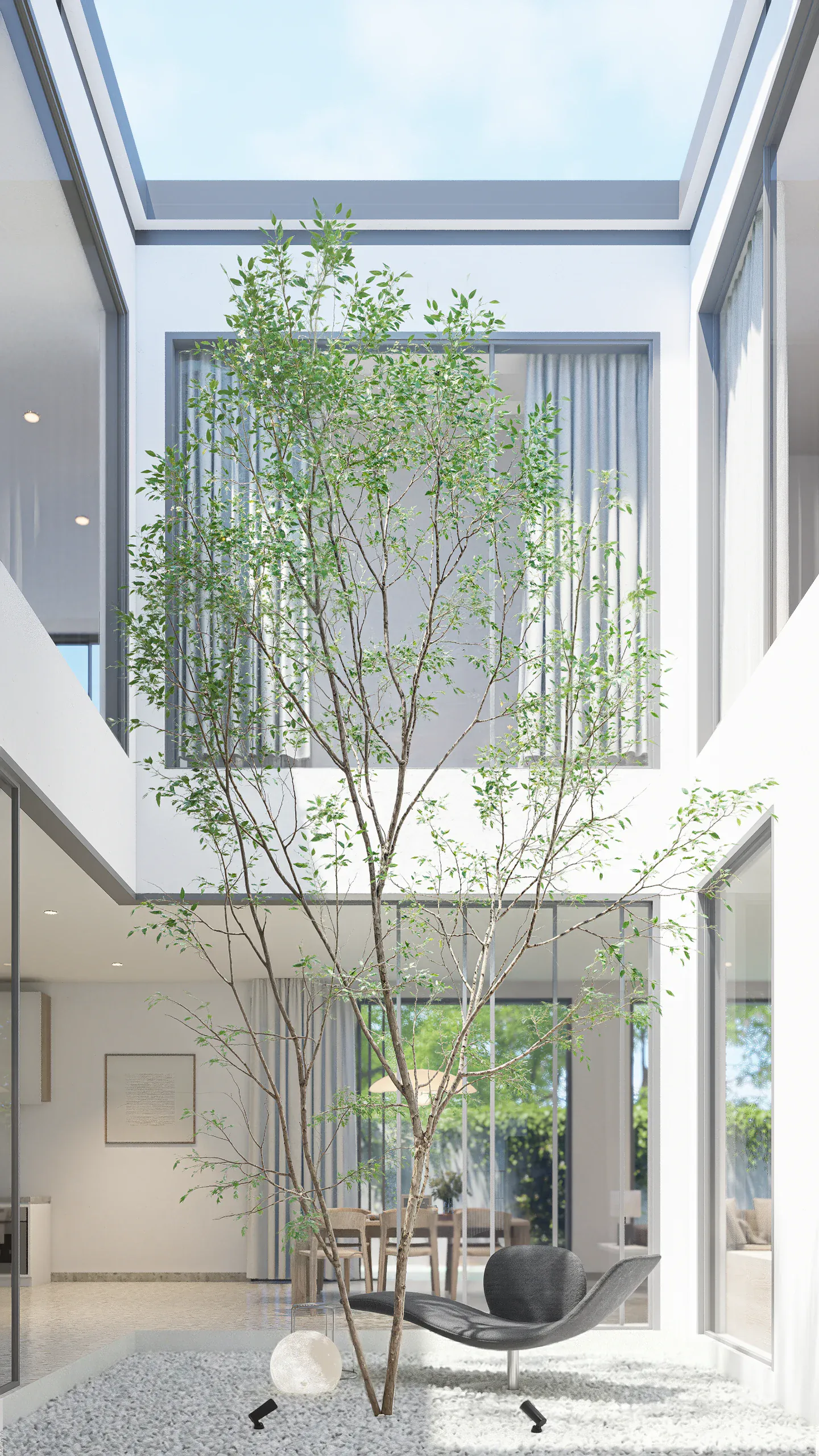 Vertical daytime view into the open-to-sky courtyard, where a slender tree brings light and greenery into the centre of the house.