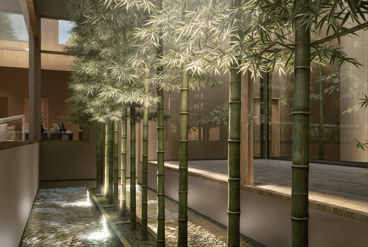 Interior design visualisation showing bamboo in a water court beside the circulation route.